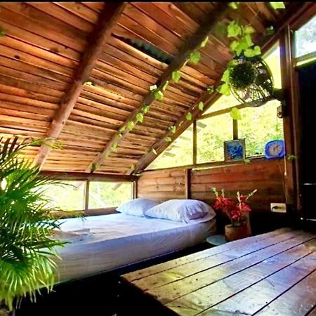 Tamarindo Beach Hostel Taganga Bagian luar foto