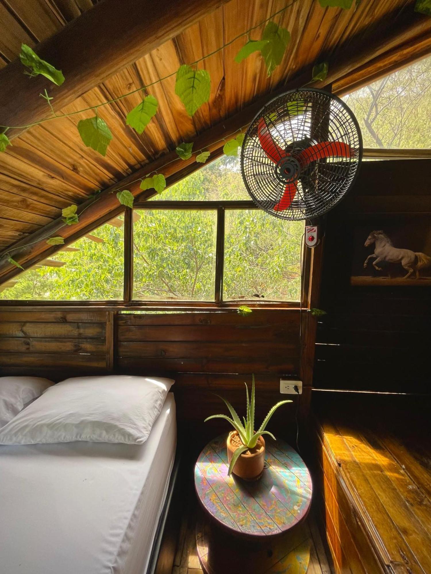 Tamarindo Beach Hostel Taganga Bagian luar foto