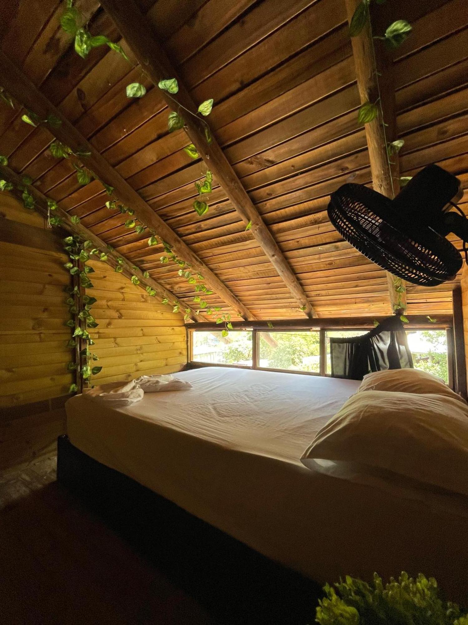 Tamarindo Beach Hostel Taganga Bagian luar foto