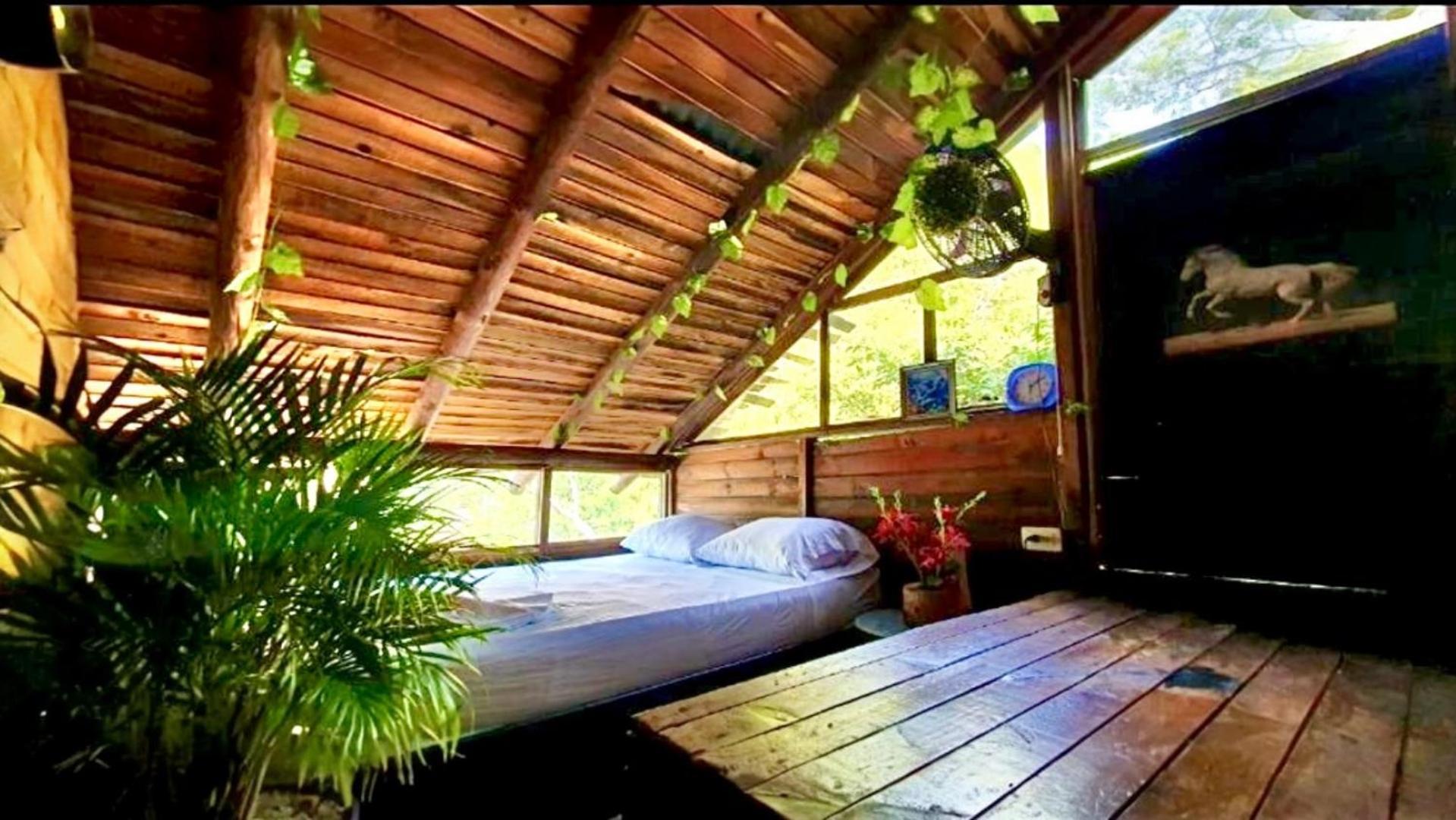 Tamarindo Beach Hostel Taganga Bagian luar foto