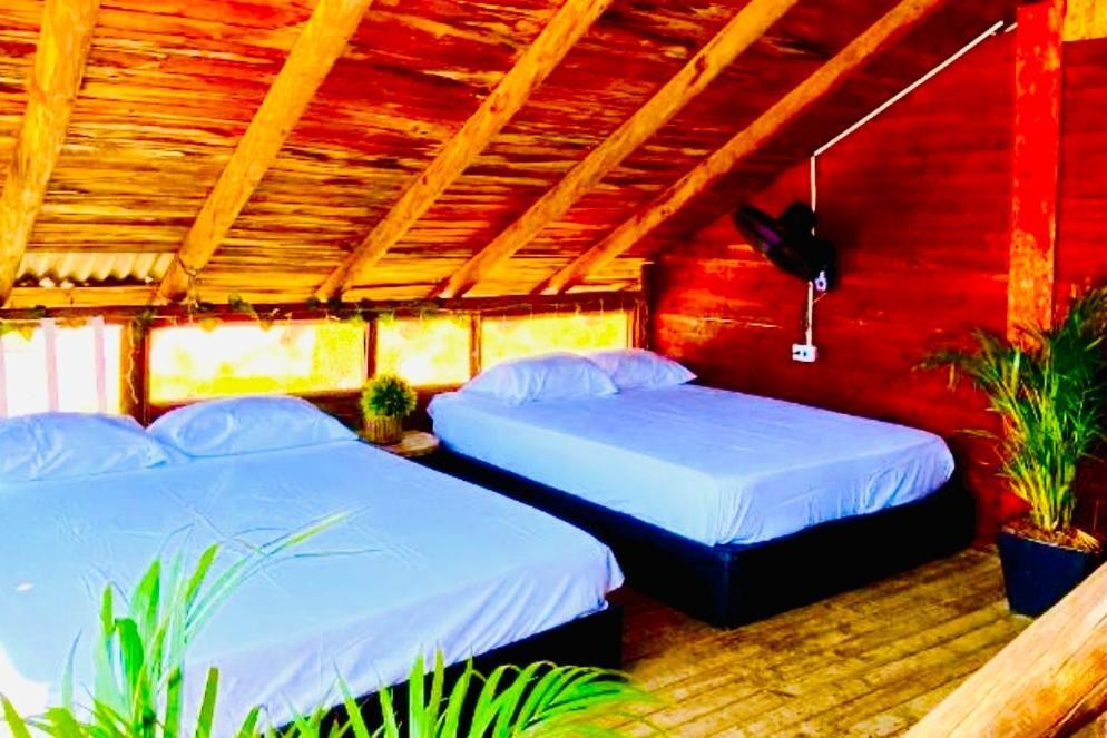 Tamarindo Beach Hostel Taganga Bagian luar foto